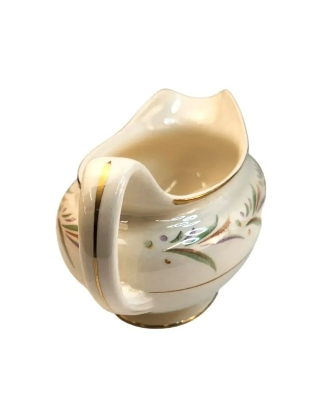 Nautilus vintage eggshell